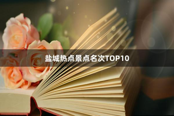 盐城热点景点名次TOP10